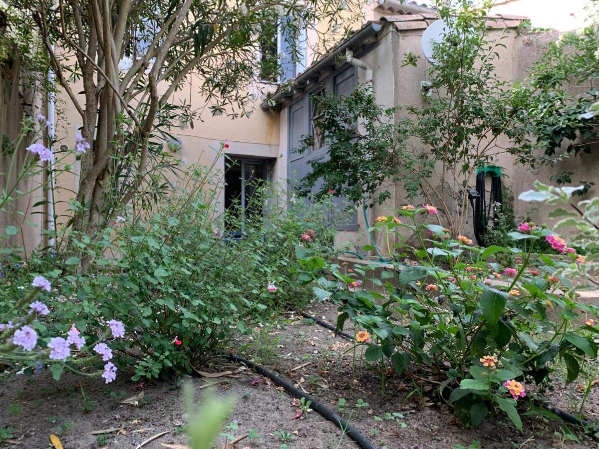 Appartement Le jardin des Capucins à Carcassonne Extérieur photo